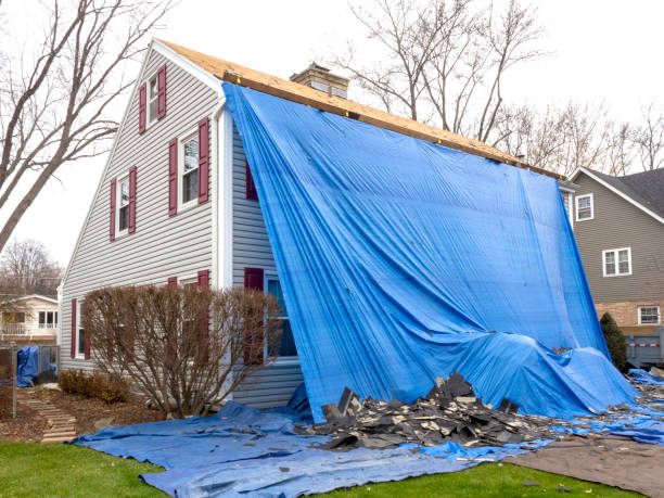 Best Demolition Debris Removal  in Nroe City, MO